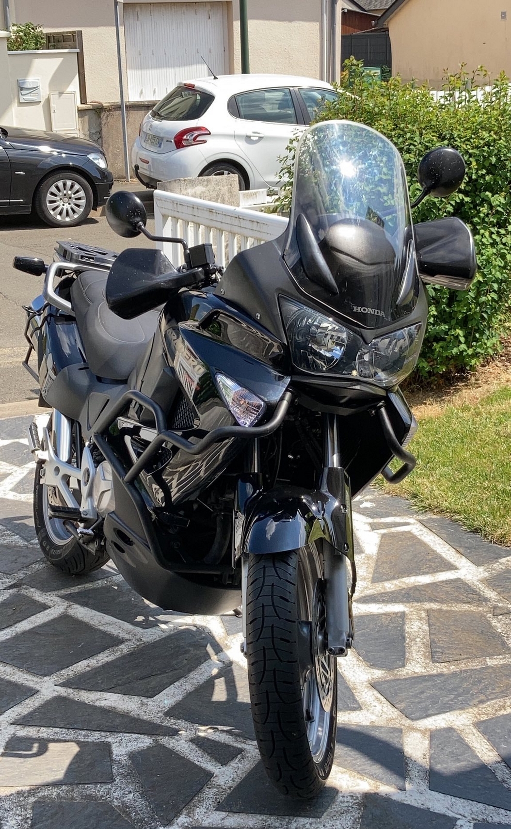 La nouvelle arrivée La nouvelle arrivée